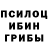 Псилоцибиновые грибы Psilocybine cubensis Denison XD