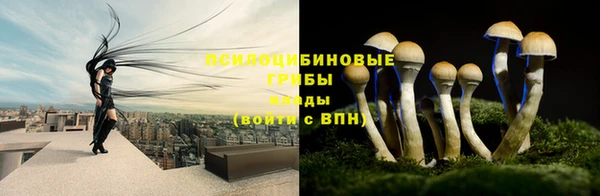 МДПВ Приозерск
