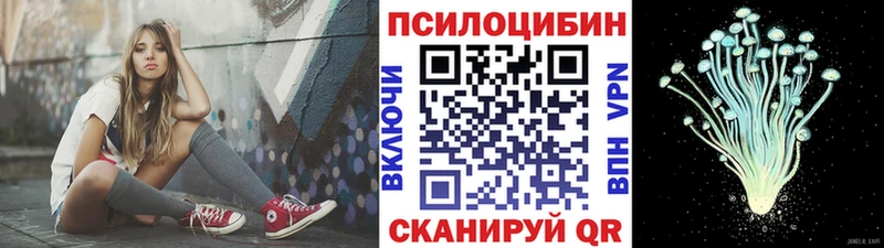 как найти закладки  Полярные Зори  omg как зайти  Галлюциногенные грибы прущие грибы 